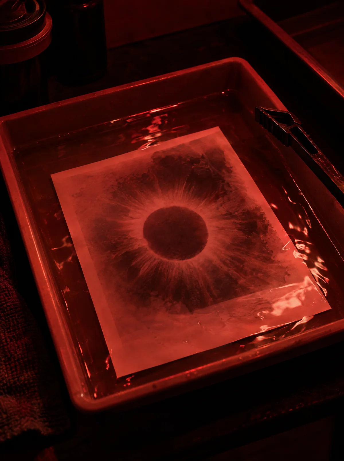 A print of the eclipse emerging in a developing tray under red light.